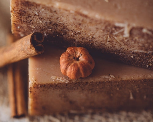 Pun'kin Patch Organic Handmade Soap - Cozy Fall Pumpkin Spice