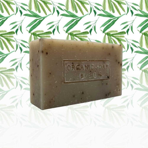 Organic Bar Soap Collection - 5 Scent Varieties
